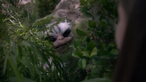 Зубастики атакуют!